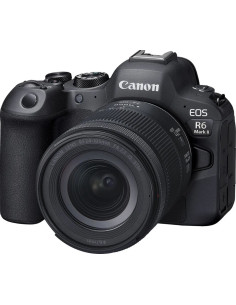 R6 Mark II + RF 24-105mm f/4-7.1 IS STM